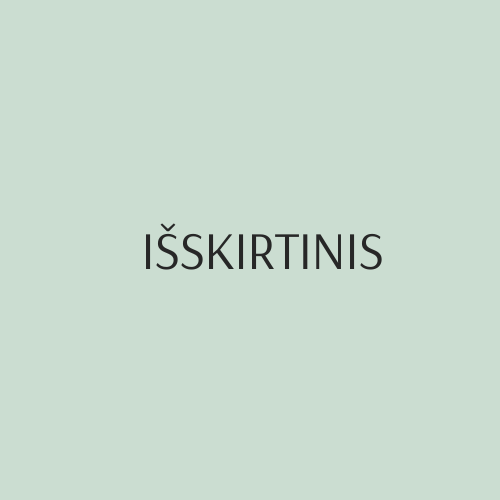 IŠSKIRTINIS - Įrengimo, paleidimo/derinimo darbai