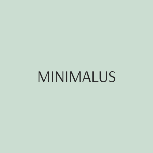 MINIMALUS - Įrengimo, paleidimo/derinimo darbai