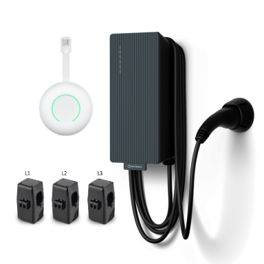 Teltonika TeltoCharge EVC2 + Galios balansavimas P1/Srovės transformatoriai