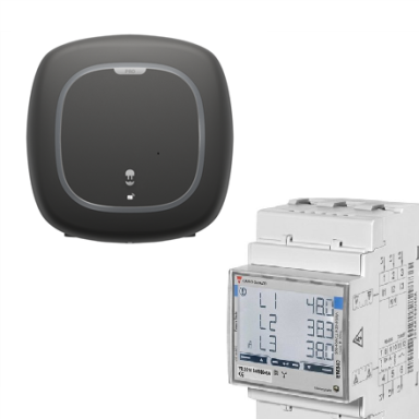 WALLBOX PULSAR MAX 22 KW + DLM